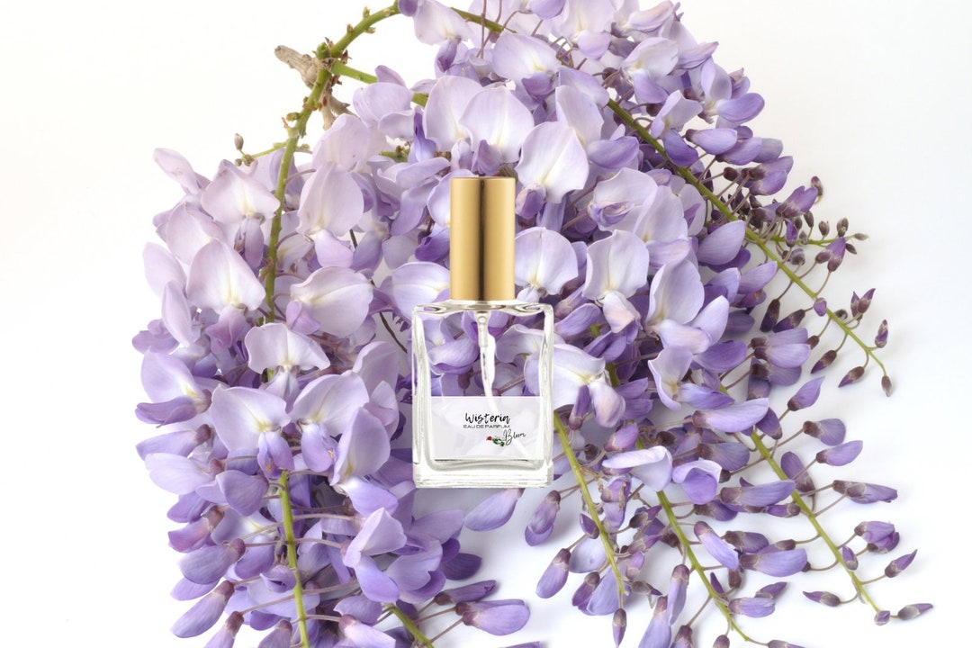 Wisteria Eau De Parfum Perfume Wisteria Perfume Hyacinth Etsy