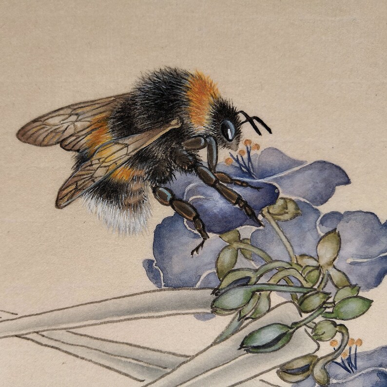K&ouml;nnte beinhalten: Ein Aquarellbild einer Hummel mit schwarzen und gelben Streifen, die auf einer lila Blume mit gr&uuml;nen Stielen und Bl&auml;ttern landet.