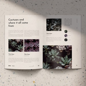 May include: An open magazine with a light beige background. The magazine features a spread about cactuses and succulents. The text on the page reads "Cactuses and where it all came from". The magazine pages feature close-up photos of various succulents.
