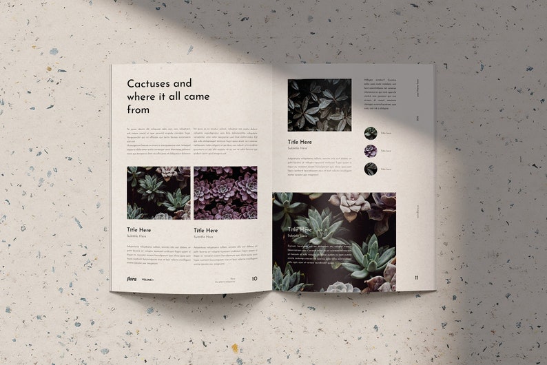 May include: An open magazine with a light beige background. The magazine features a spread about cactuses and succulents. The text on the page reads "Cactuses and where it all came from". The magazine pages feature close-up photos of various succulents.