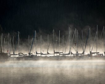 Fog on the Docks - 18 x 12 Lustre Print