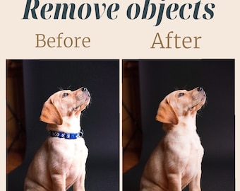 Unleash Your Pet's Best Side: Premier Pet Photography Editing and Custom Portraits. Object removal, Remove people, remove person from photo,