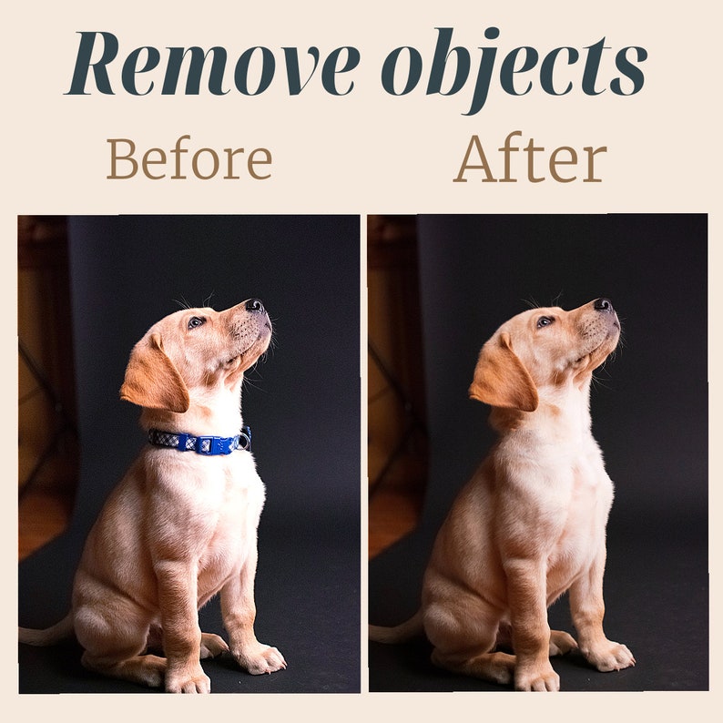 Op de afbeelding: Voor- en na-afbeelding die een golden retriever-puppy laat zien die zit en omhoog kijkt. De puppy draagt een blauw en wit gepatroneerd halsband in de voor-afbeelding. Het halsband is verwijderd in de na-afbeelding.