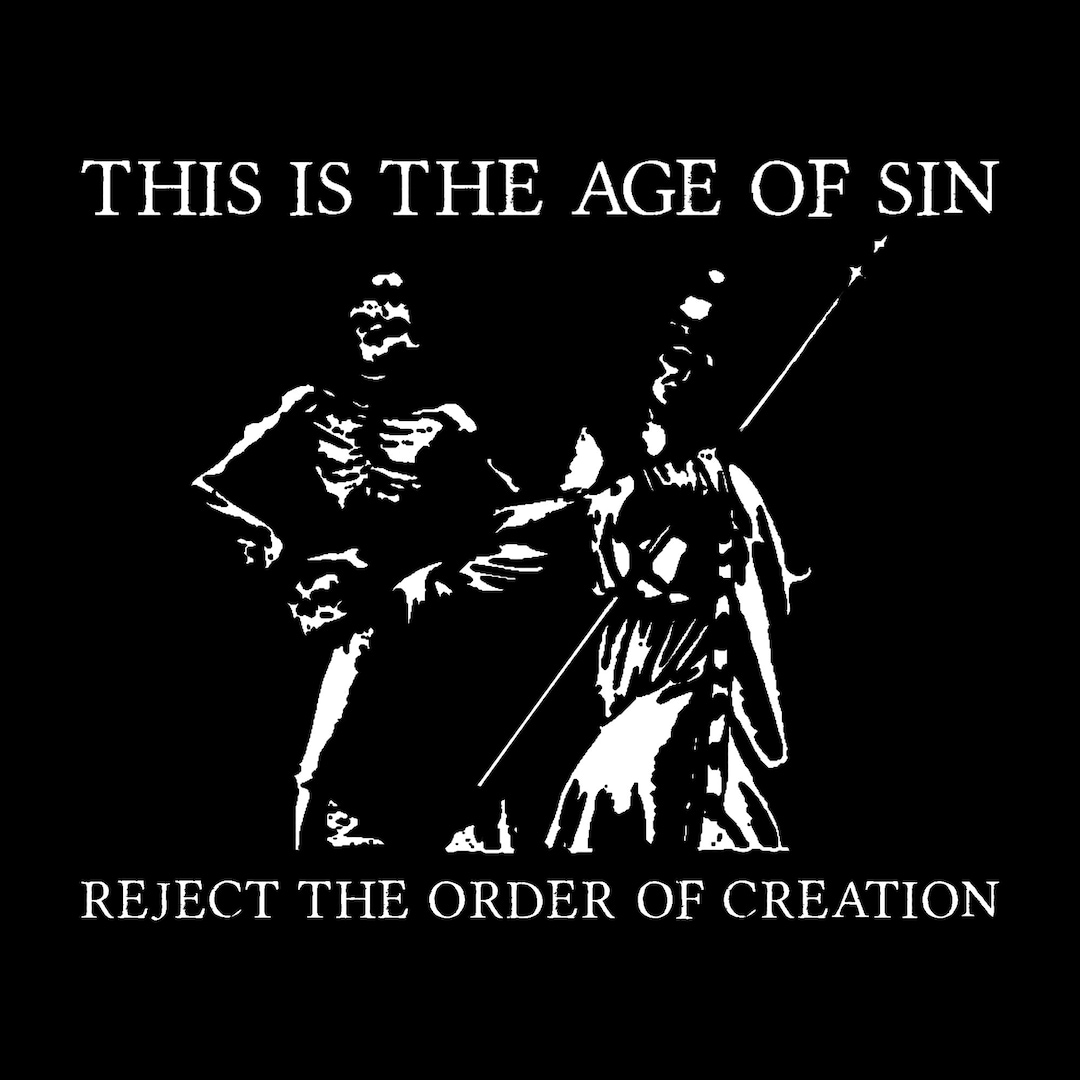This is the Age of Sin Reject the Order of Creation Tee Etsy