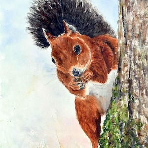 Biglietto d'auguri con scoiattolo rosso in formato A5, tratto dal dipinto originale di Aisling Kiernan, interno vuoto, biglietto con la fauna selvatica irlandese,