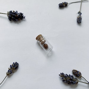 May include: A miniature glass bottle with a cork, housing a ladybird. Dried lavender sprigs are arranged around the bottle on a white surface. The ladybird is brown with black spots.