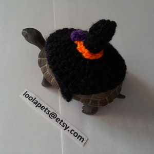 Halloween Witch Wizard Hat Tortoise Turtle Sweater Cozy Top