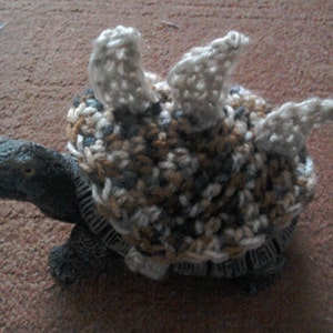 Dinosaur Tortoise Sweater Cozy, stegosaurus dinosaur Pet Costume