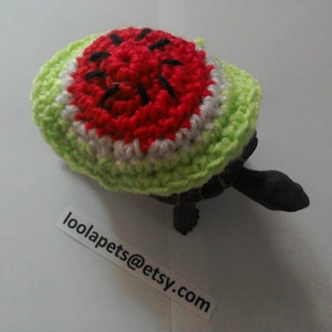 Crochet Watermelon Turtle Costume: Reptile Cozy Sweater