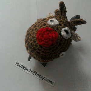 Crochet Santa Rudolph Tortoise Sweater Cozy: Christmas Pet Costume