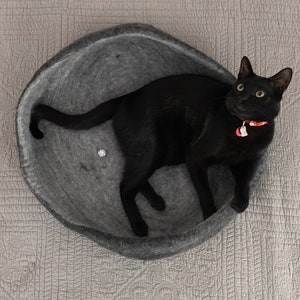 Op de afbeelding: Een zwarte kat met een rode halsband en een label rust in een grijs wollen kattenbed.