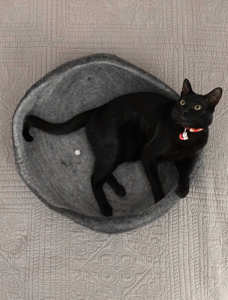 Op de afbeelding: Een zwarte kat met een rode halsband en een label rust in een grijs wollen kattenbed.