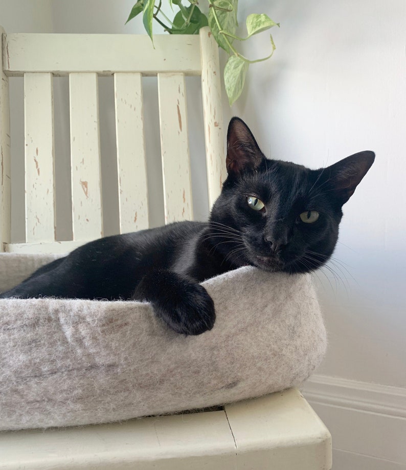 Op de afbeelding: Een zwarte kat met groene ogen ligt in een grijs, ovaalvormig dierenbed. Het bed staat op een witte houten stoel met een verweerde afwerking.