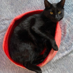 Op de afbeelding: Een zwarte kat die rust in een rood wollen kattenbed. De kat ligt opgerold in het bed, met zijn kop op de rand.