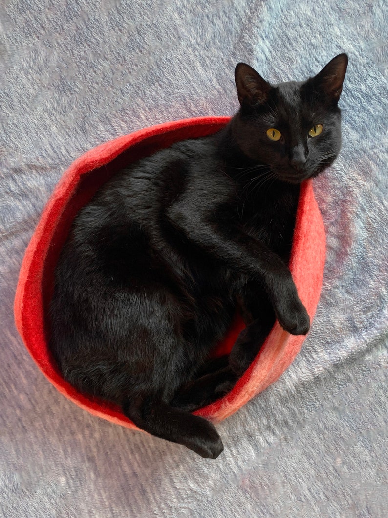 Op de afbeelding: Een zwarte kat die rust in een rood wollen kattenbed. De kat ligt opgerold in het bed, met zijn kop op de rand.