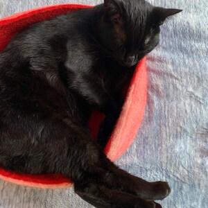 Op de afbeelding: Een zwarte kat die opgerold ligt te slapen in een rood wollen kattenbed.