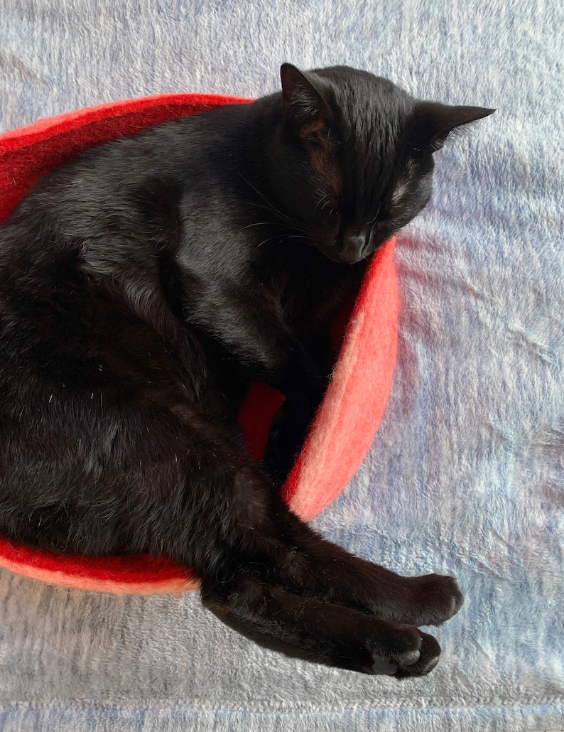 Op de afbeelding: Een zwarte kat die opgerold ligt te slapen in een rood wollen kattenbed.