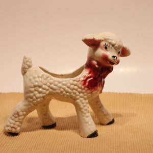 Witte lamsplanter, sappige lamsplanter, witte lamsplanter Geweldig voor paasdecoratie