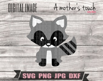 Download Baby Raccoon Svg Etsy