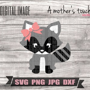 Download Baby Raccoon Svg Dxf Etsy