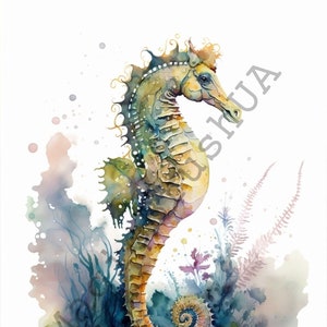 Seahorse 12 Portraits set, Seahorse Clipart, Commercial Use, Seahorse Bundle, Digital download, Watercolor Seahorse Portrait