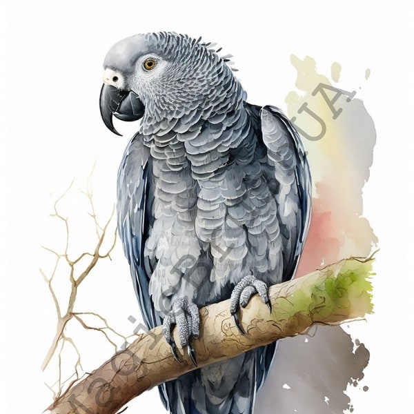 African Gray Parrot 16 Portraits set, African Parrot Clipart, Commercial, Digital download, Stickers,Watercolor portrait,African Gray Parrot