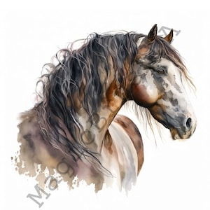 Pinto Horse 11 Portraits set, Pinto Horse Clipart, Commercial Use, Digital download, Stickers, Watercolor portrait,Pinto Horse Digital Print