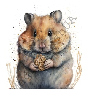 Hamster 14 Portraits set, Hamster Clipart, Commercial Use, Digital download, Stickers, Watercolor portrait, Hamster, Watercolor Hamster