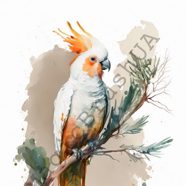 White Cockatoo 12 Portraits set, White Cockatoo Clipart, Commercial, Digital download, Stickers,Watercolor portrait, White Cockatoo Portrait