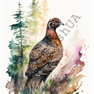 Fine Art Print The Greater Sage Grouse and Adventure Boy -  Portugal