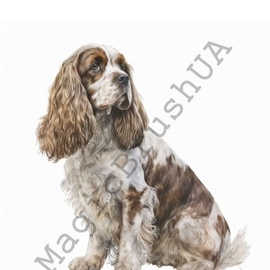 American Cocker Spaniel 19 Portraits set, Cocker Spaniel Clipart, Commercial, Digital download, Stickers, Watercolor American Cocker Spaniel