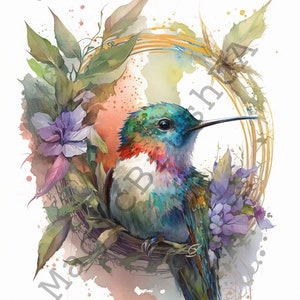 Hummingbird 14 Portraits set, Hummingbird Clipart, Commercial, Digital download, Stickers, Watercolor portrait, Hummingbird Portraits