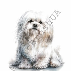 Maltese 17 Portraits set, Maltese Clipart, Commercial Use, Digital download, SVG stickers, Watercolor Maltese portrait, Maltese art