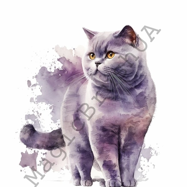 British Shorthair Cat 12 Portraits set, British Shorthair Clipart, Commercial Use, British Shorthair Bundle, Digital download, SVG stickers