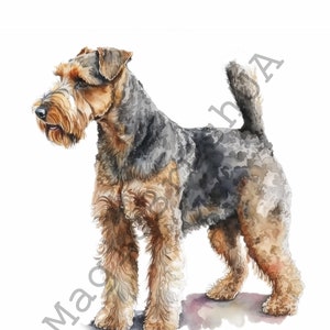 Welsh Terrier 12 Portraits set, Welsh Terrier Clipart, Commercial Use, Welsh Terrier Bundle, Digital download, SVG stickers, Watercolor