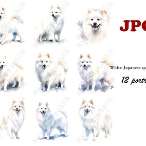 White Japanese spitz 12 Portraits set, Clipart Japanese, Commercial Use, Japanese Portrait, Digital download, SVG stickers, spitz Painting