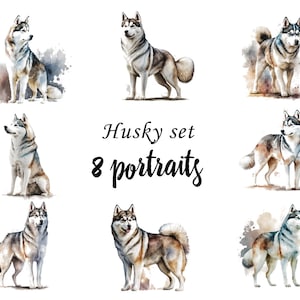 Husky Portraits Set, Husky Clipart, kommerzielle Nutzung, Husky Bundle, digitaler Download, SVG Aufkleber, Aquarell Portrait, Vektor Husky, Gemälde