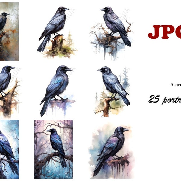 Crow 25 Portraits set, Clipart Crow, Commercial Use, Crow Portrait, Digital download, SVG stickers, Crow Painting