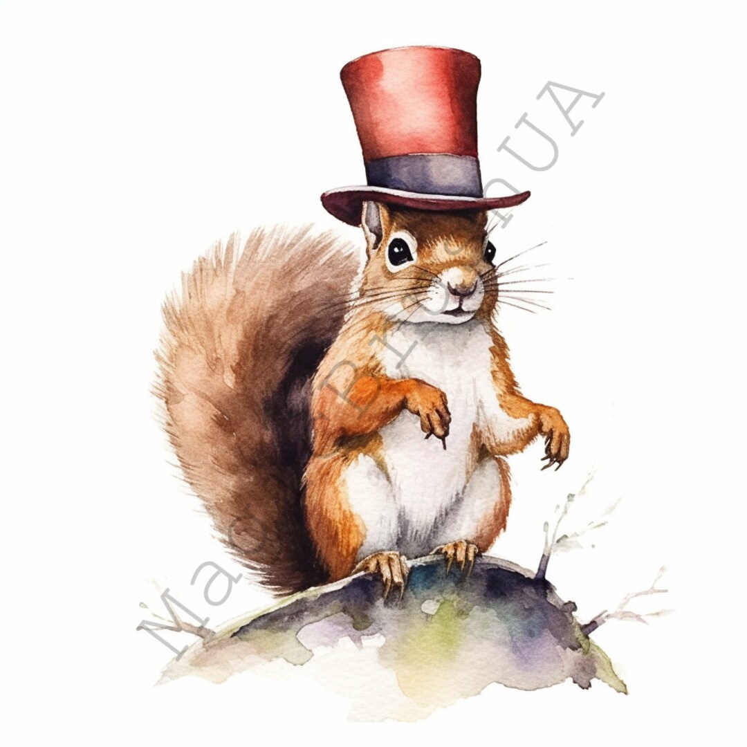 Scoiattolo con un cappello set di ritratti, scoiattolo con un