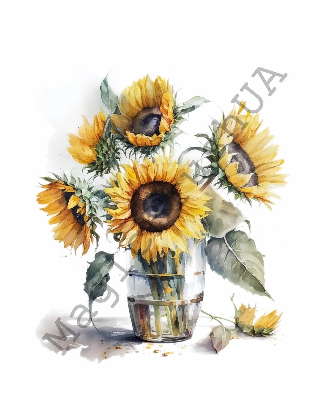Sunflower in a Vase 13 Portraits Set, Sunflower Clipart, Commercial Use ...