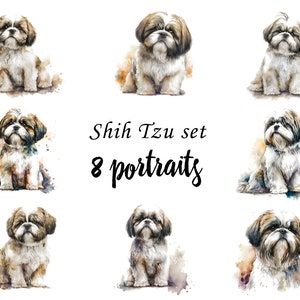 Shih Tzu Portraits set, Shih Tzu Clipart, Commercial Use, Shih Tzu Bundle, Digital download, SVG stickers, Watercolor portrait, Shih Tzu