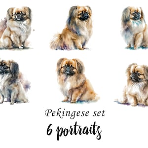 Pekingese Portraits set, Pekingese Clipart, Commercial Use, Digital download, SVG stickers, Watercolor portrait, Pekingese Vector