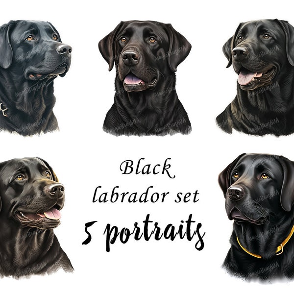 Dog Portraits set, Black Labrador Portraits Bundle, Labrador Clipart, Black Labrador Retriever, Digital download, Commercial Use, Vector