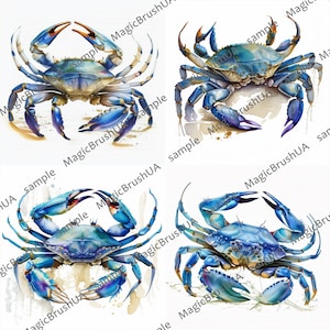 Crab Clipart 8 PNG images with transparent background, Commercial Use, Crab Bundle, Digital download, Watercolor Crab Portrait