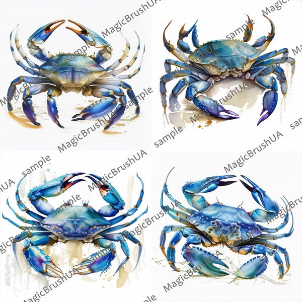 Crab Clipart 8 PNG images with transparent background, Commercial Use, Crab Bundle, Digital download, Watercolor Crab Portrait