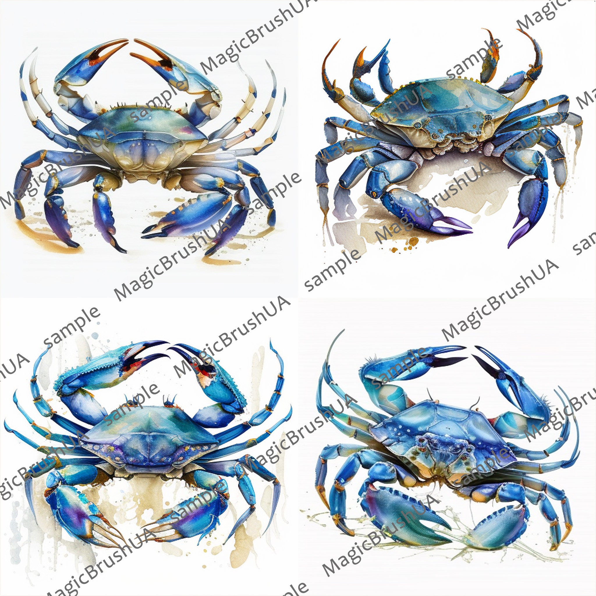 Crab Clipart 8 PNG Images With Transparent Background Etsy Australia