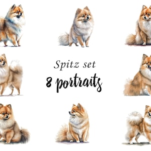 Spitz Portraits set, Spitz Clipart, Commercial Use, Digital download, SVG stickers, Watercolor portrait, Spitz art, Wall painting Spitz