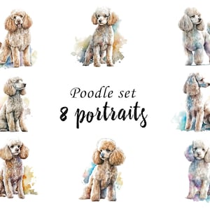 Poodle Portraits set, Poodle Clipart, Commercial Use, Poodle Bundle, Digital download, SVG stickers, Watercolor portrait