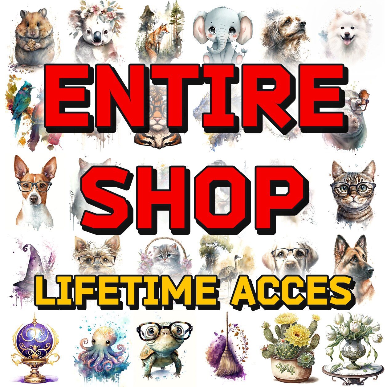 Entire Shop Bundle, All Portraits: Dogs, Cats, Birds, Items, Flowers, Sea, Animals
