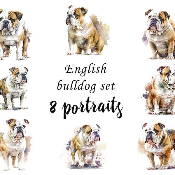 English Bulldog Portraits set, English Bulldog Clipart, Commercial Use, English Bulldog Bundle, Digital download, Watercolor portrait